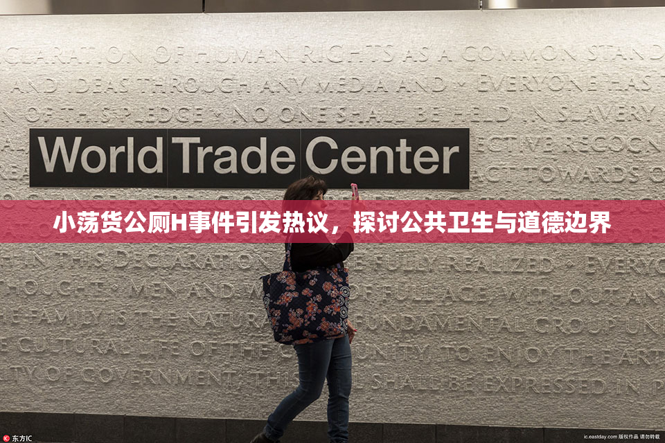 小荡货公厕H事件引发热议，探讨公共卫生与道德边界