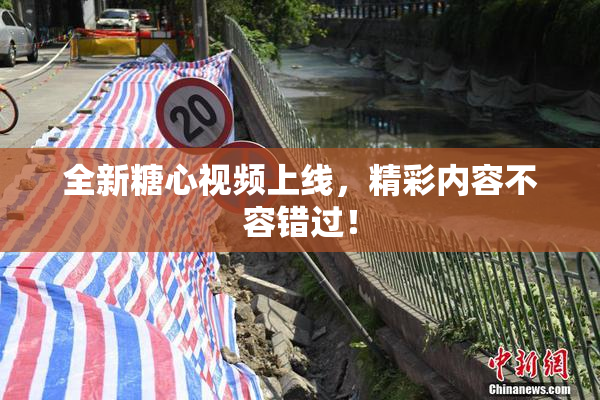 全新糖心视频上线，精彩内容不容错过！