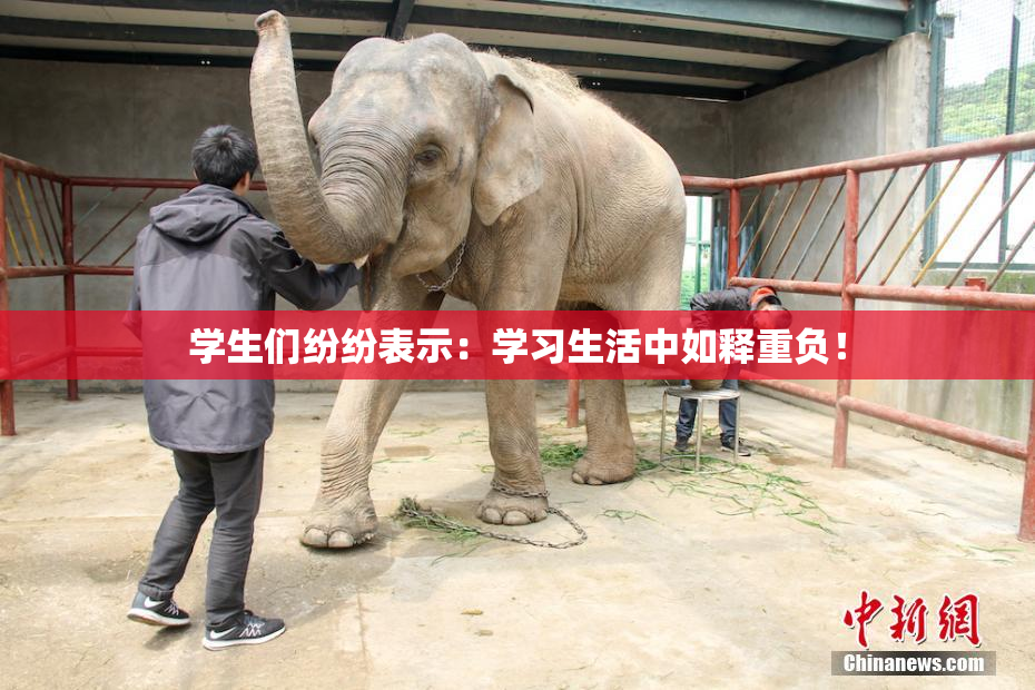 学生们纷纷表示：学习生活中如释重负！