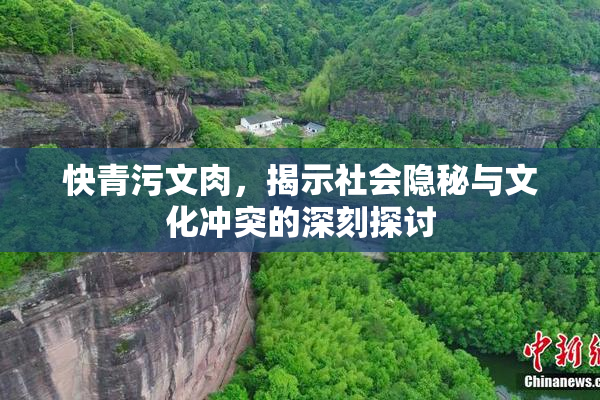 快青污文肉，揭示社会隐秘与文化冲突的深刻探讨