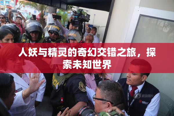 人妖与精灵的奇幻交错之旅，探索未知世界