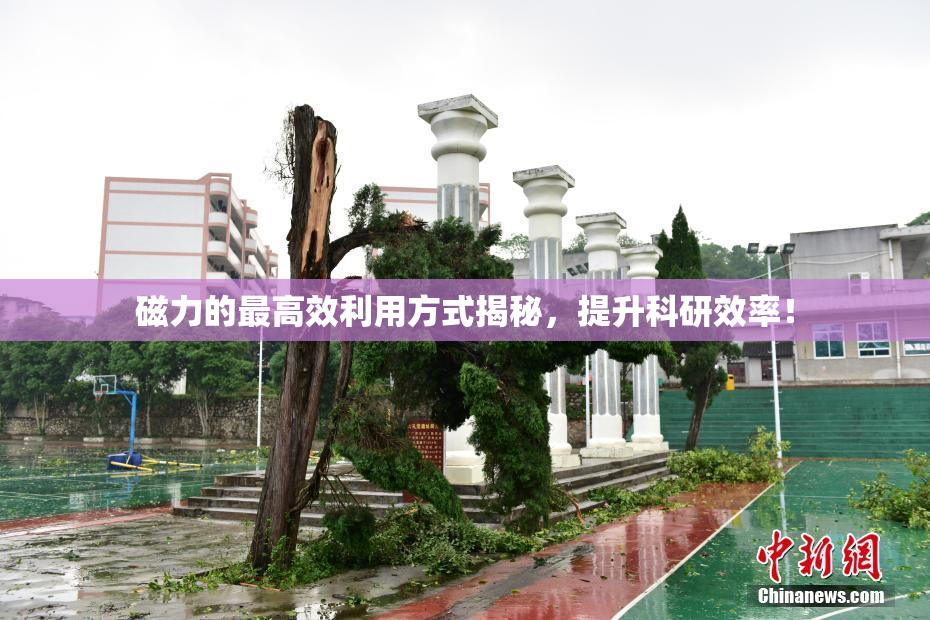 磁力的最高效利用方式揭秘，提升科研效率！