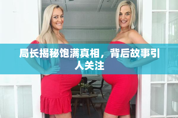 局长揭秘饱满真相，背后故事引人关注