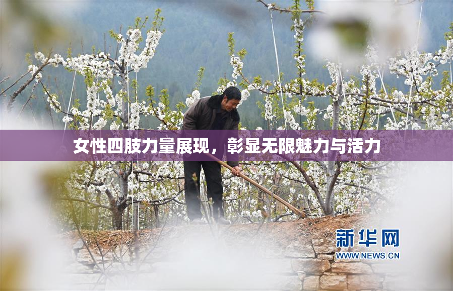 女性四肢力量展现，彰显无限魅力与活力