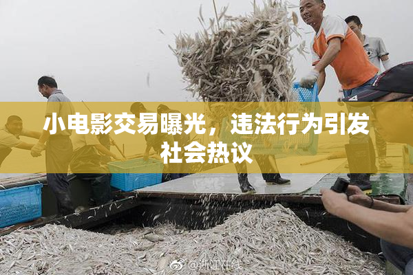 小电影交易曝光，违法行为引发社会热议