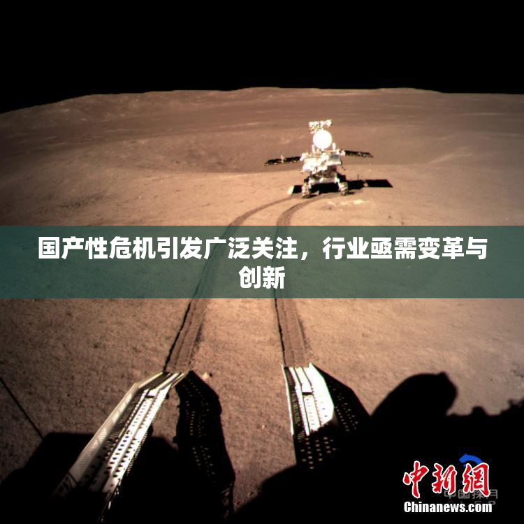 国产性危机引发广泛关注，行业亟需变革与创新
