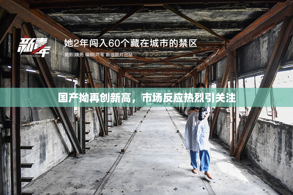 国产拗再创新高，市场反应热烈引关注