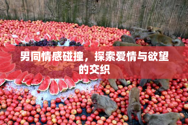 男同情感碰撞，探索爱情与欲望的交织