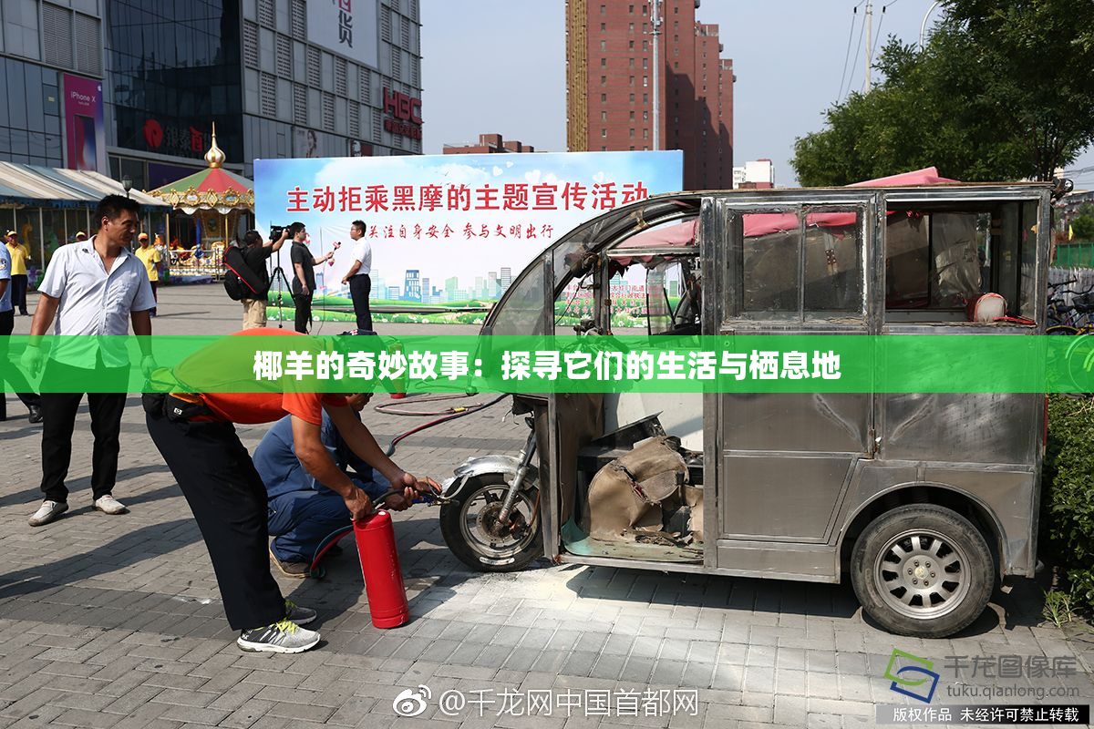 椰羊的奇妙故事：探寻它们的生活与栖息地