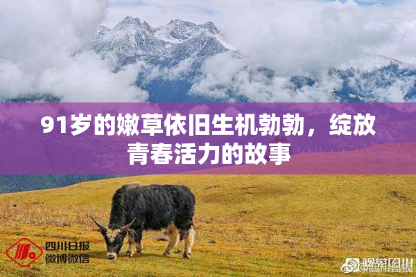 91岁的嫩草依旧生机勃勃，绽放青春活力的故事