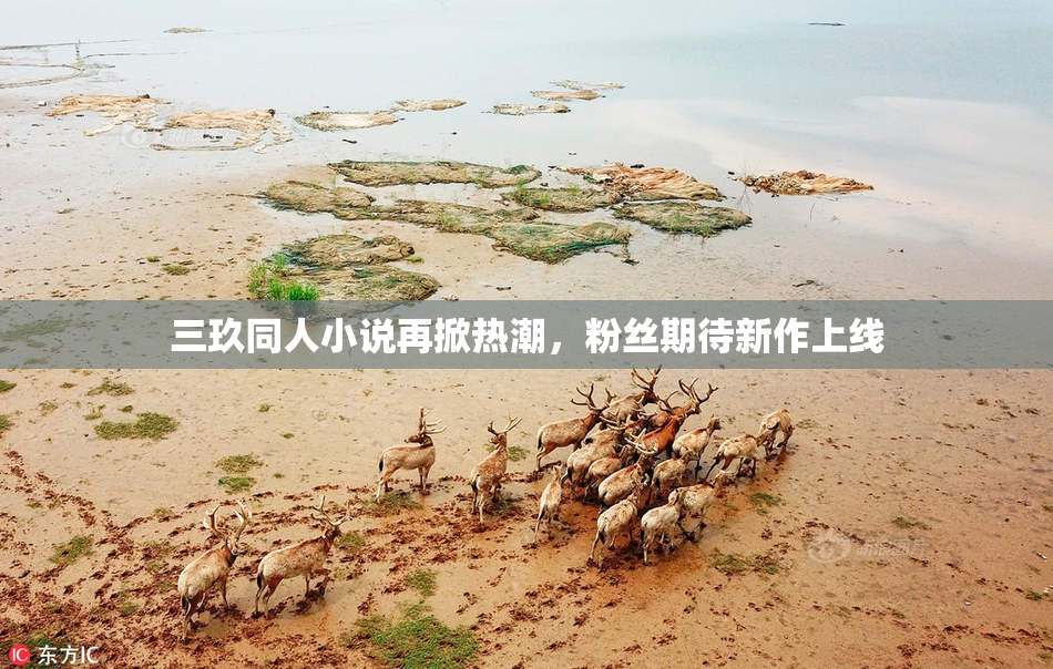 三玖同人小说再掀热潮，粉丝期待新作上线