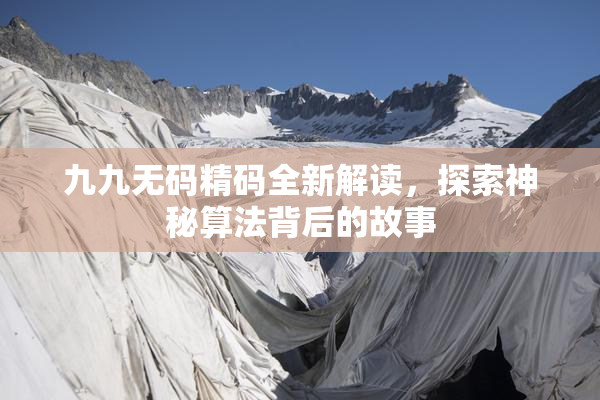 九九无码精码全新解读，探索神秘算法背后的故事