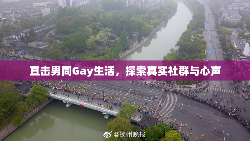 直击男同Gay生活，探索真实社群与心声