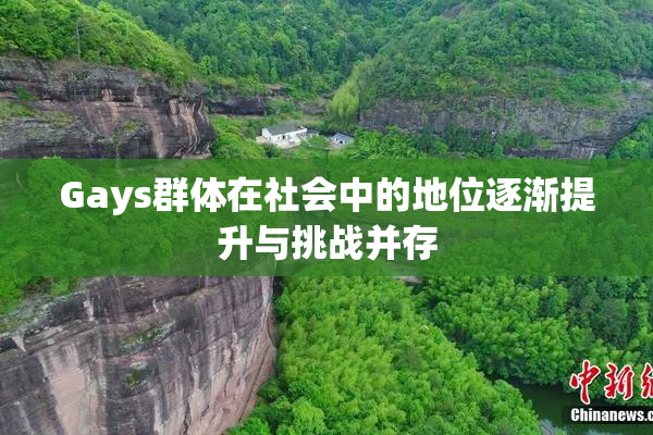 Gays群体在社会中的地位逐渐提升与挑战并存