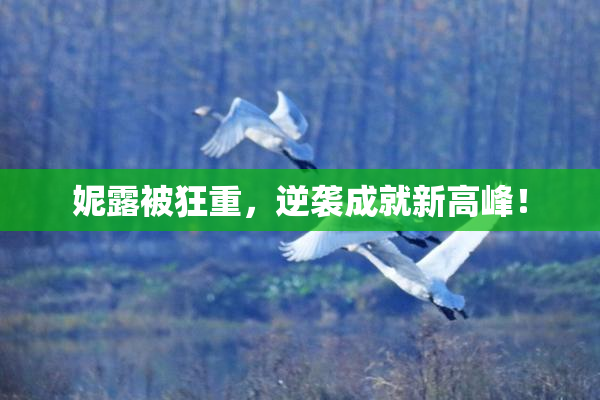 妮露被狂重，逆袭成就新高峰！