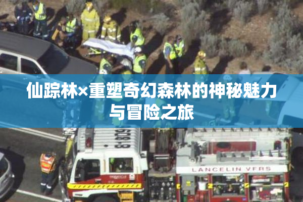 仙踪林×重塑奇幻森林的神秘魅力与冒险之旅