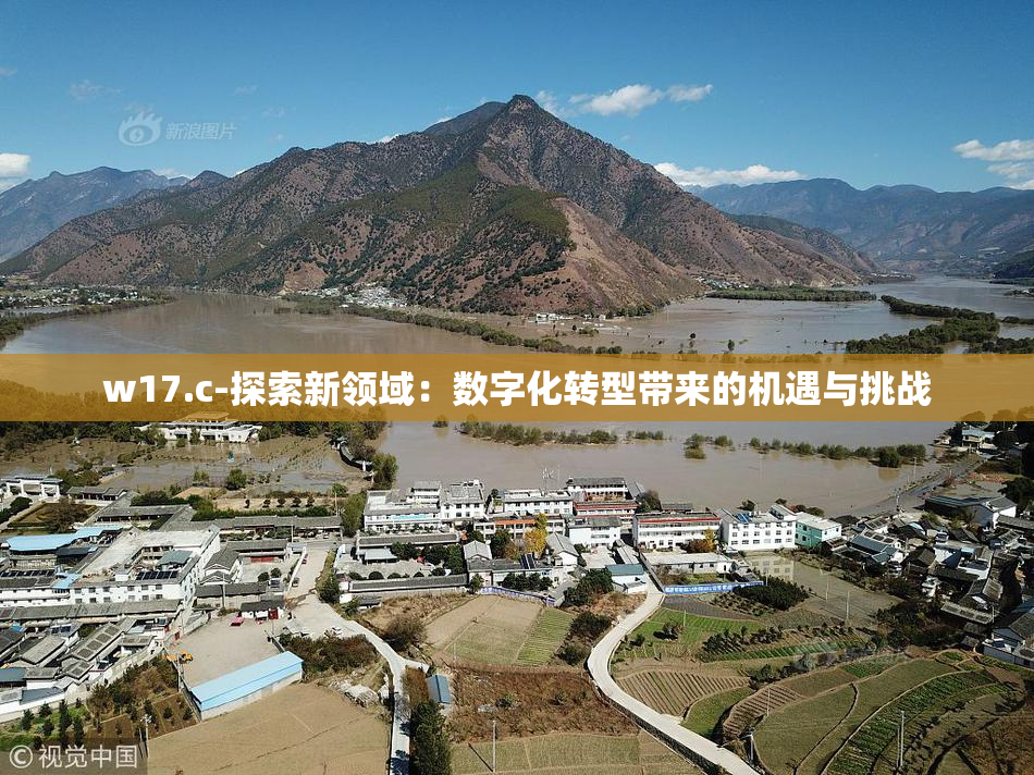 w17.c-探索新领域：数字化转型带来的机遇与挑战