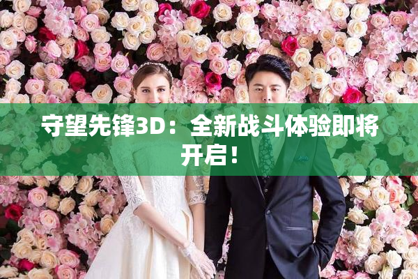 守望先锋3D：全新战斗体验即将开启！