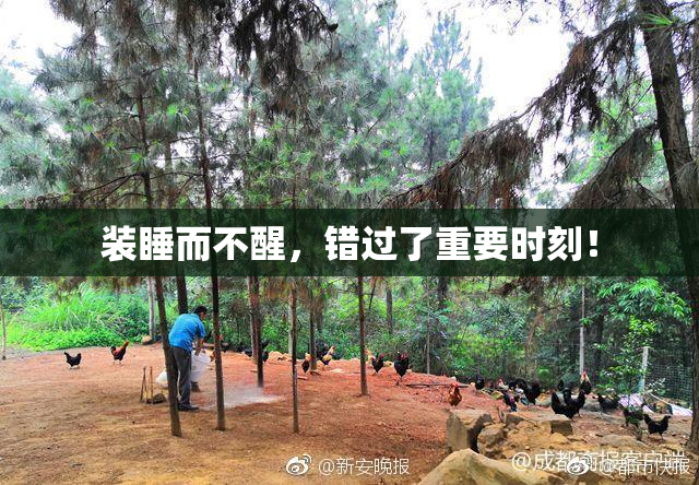 装睡而不醒，错过了重要时刻！