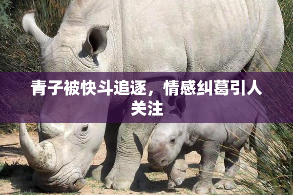 青子被快斗追逐，情感纠葛引人关注