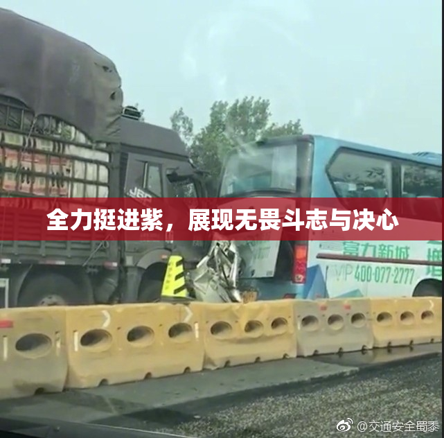 全力挺进紫，展现无畏斗志与决心