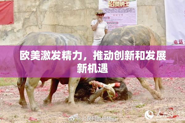 欧美激发精力，推动创新和发展新机遇