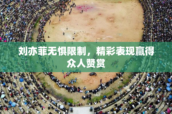 刘亦菲无惧限制，精彩表现赢得众人赞赏