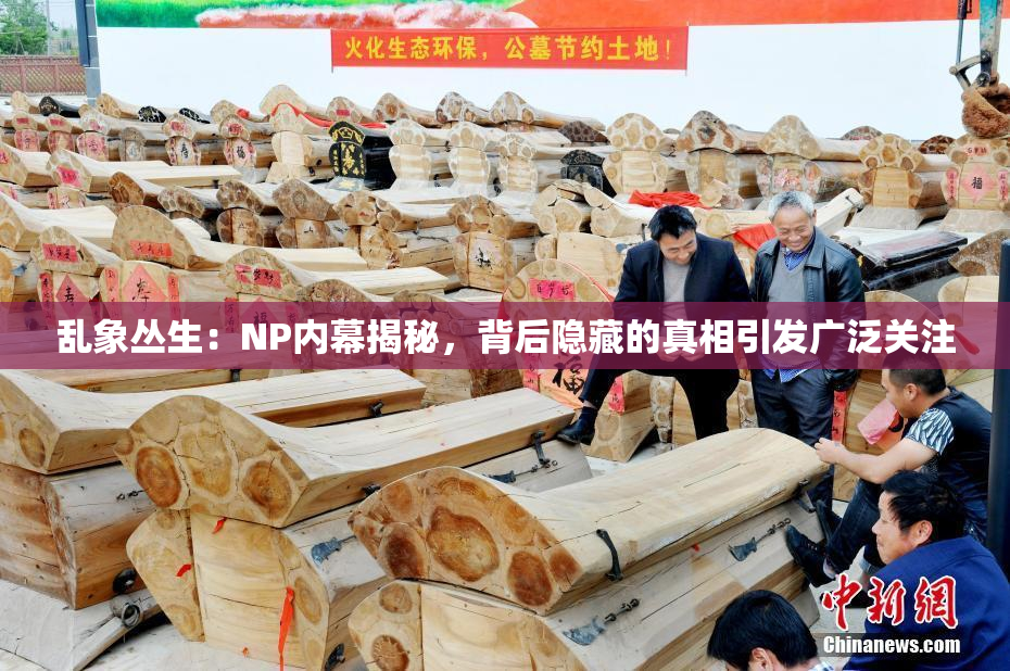 乱象丛生：NP内幕揭秘，背后隐藏的真相引发广泛关注