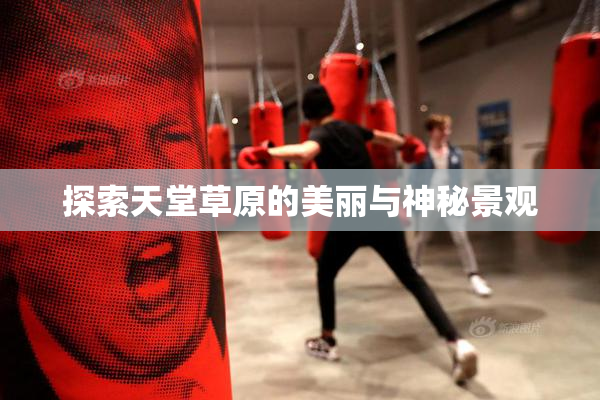 探索天堂草原的美丽与神秘景观