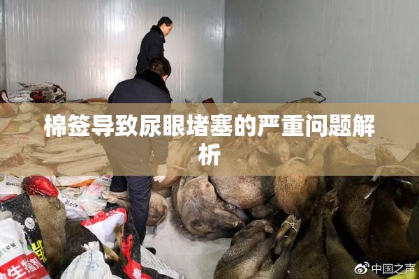 棉签导致尿眼堵塞的严重问题解析