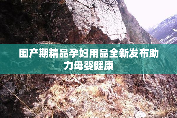 围产期精品孕妇用品全新发布助力母婴健康