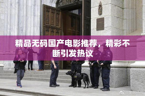 精品无码国产电影推荐，精彩不断引发热议