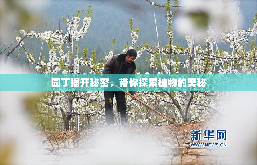 园丁揭开秘密，带你探索植物的奥秘