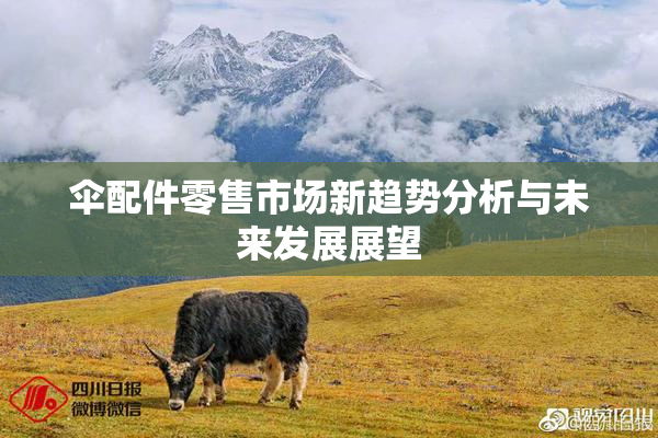 伞配件零售市场新趋势分析与未来发展展望
