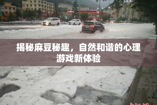 揭秘麻豆秘趣，自然和谐的心理游戏新体验
