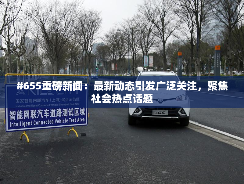 #655重磅新闻：最新动态引发广泛关注，聚焦社会热点话题