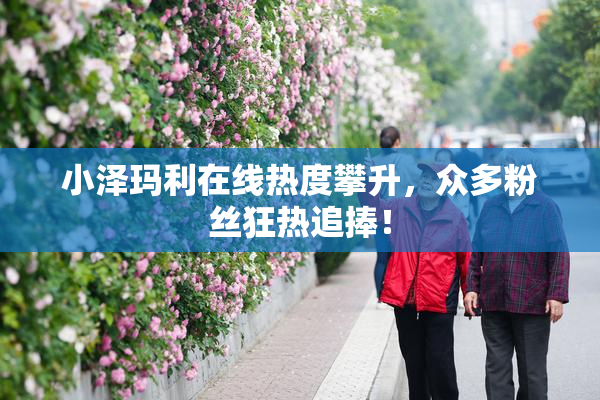 小泽玛利在线热度攀升，众多粉丝狂热追捧！