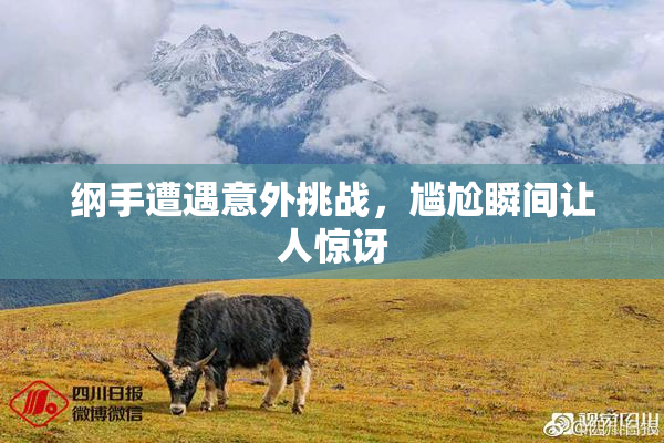 纲手遭遇意外挑战，尴尬瞬间让人惊讶