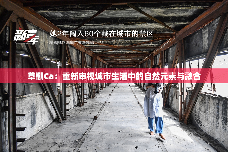 草棚Ca：重新审视城市生活中的自然元素与融合