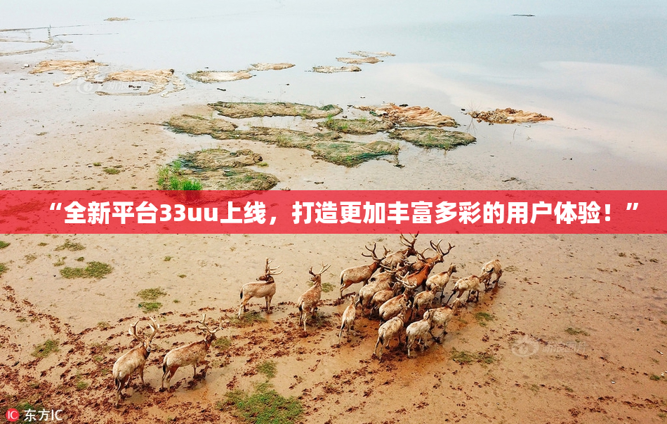 “全新平台33uu上线，打造更加丰富多彩的用户体验！”