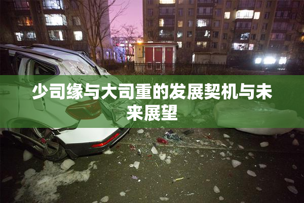 少司缘与大司重的发展契机与未来展望