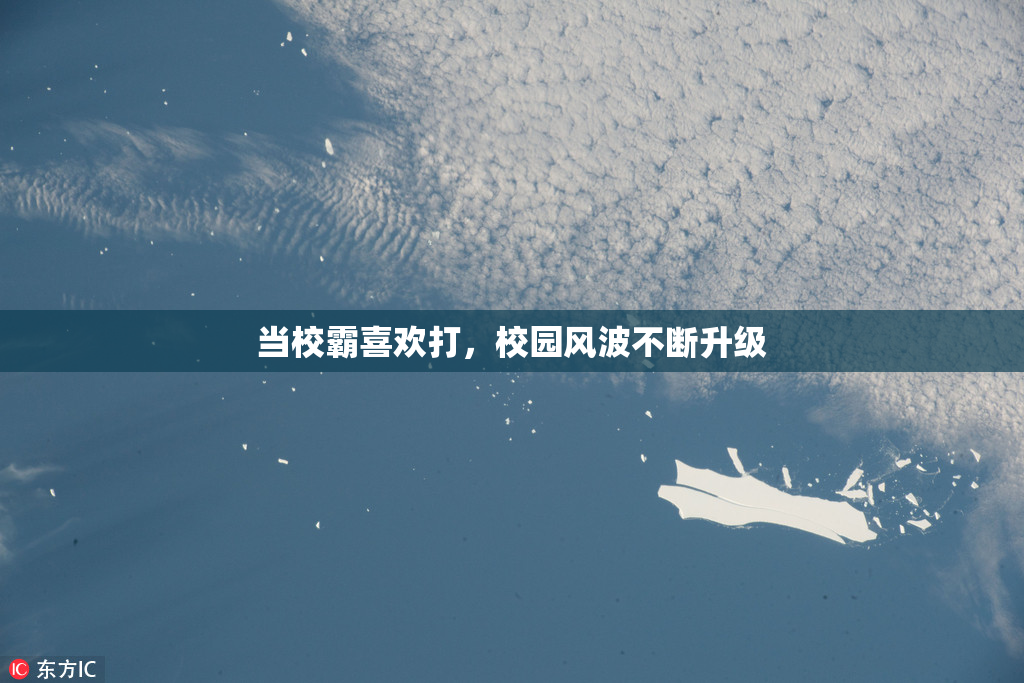 当校霸喜欢打，校园风波不断升级