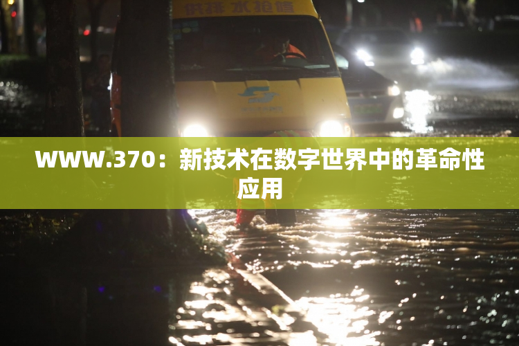 WWW.370：新技术在数字世界中的革命性应用