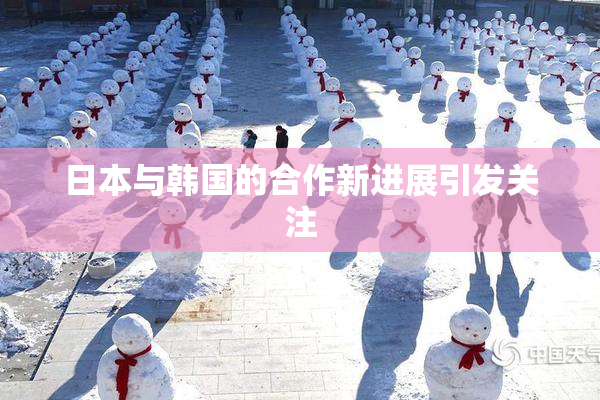 日本与韩国的合作新进展引发关注