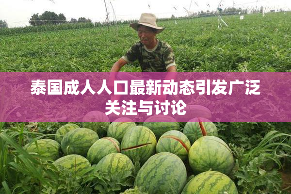 泰国成人人口最新动态引发广泛关注与讨论