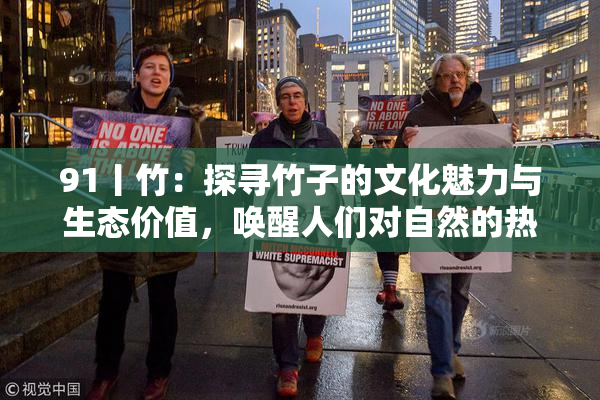 91丨竹：探寻竹子的文化魅力与生态价值，唤醒人们对自然的热爱