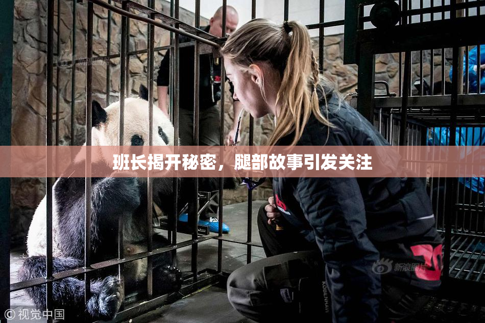 班长揭开秘密，腿部故事引发关注