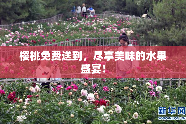 樱桃免费送到，尽享美味的水果盛宴！