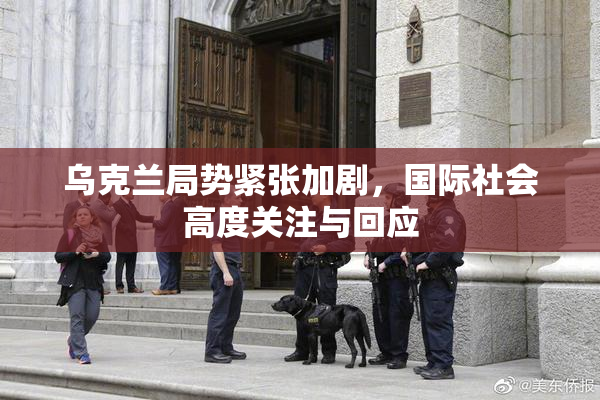 乌克兰局势紧张加剧，国际社会高度关注与回应