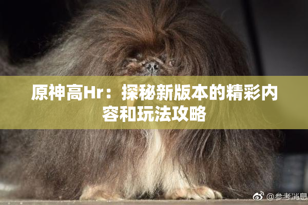 原神高Hr：探秘新版本的精彩内容和玩法攻略